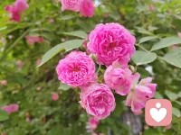 對(duì)于心理學(xué)，面對(duì)某一行為，需要先了解其行為背后的感受，理解其中的情緒情感，及隱含的意義。
如果無法理清或者無法表達(dá)時(shí)，可以試著先去命名理清。配圖