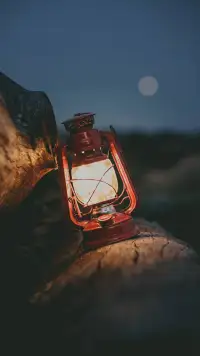 讓我們收拾心情，繼續前行，坦然面對生活中的喜怒哀樂，用心去感受生活，生活就會對你有所回饋。配圖