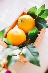 因?yàn)楣陋?dú)是生命的常態(tài)，所以，陪伴才顯得格外的珍貴，兩個(gè)人最好的相處方式就是表面互相嫌棄，心中卻不離不棄。配圖