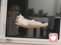 很多做父母的看著孩子掙扎非常痛苦，覺得自己辛苦、痛苦，比看著孩子辛苦、痛苦容易得多，這是許多父母為孩子安排所有一切，可你害了孩子，使他失去了體驗生活酸、甜、苦、辣的機會，他的人生不可能回頭。配圖