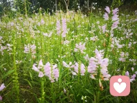 擺脫自我內(nèi)耗的困境：不受控地負(fù)面思考，糾結(jié)擰巴?自我否定，幫助你打開人生“心”篇章！配圖