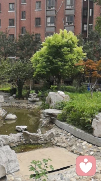 再遠的終點，一步步來終能走到；再近的地方，不邁開雙腳也無法到達。一切美好的愿望，不是在等待中擁有，而是在奮斗中爭取。堅定信念、堅持努力，你的日積月累終會讓你遇見更好的自己。晚安！配圖