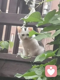 改變自己的是神，改變別人的是神經病。配圖