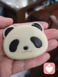 兩只可愛的貓貓，各有各的美。配圖