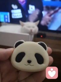 兩只可愛的貓貓，各有各的美。配圖