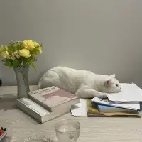 年终岁末，用力生活
一个人从出生到离世，能够不离不弃陪伴你的只有自己。只要自己不放弃自己，就没人能放弃你，只要自己爱自己，就不会没人爱你。   🌷