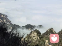 讓愛持久的秘密！
真正長(zhǎng)久的愛，不是情緒沖動(dòng)，而是人格成熟后的選擇。
我們常常被愛情的浪漫吸引，卻容易忽略愛情能否長(zhǎng)久、是否值得托付，往往并不取決于情感的強(qiáng)度，而是取決于一個(gè)人的人格品質(zhì)。
心理學(xué)研究表明，愛情的“熱度”通常只能維持?12?到?18?個(gè)月左右。
之后，伴侶之間的關(guān)系會(huì)逐漸從激情期進(jìn)入“合作與磨合期”。在這個(gè)階段，支撐兩個(gè)人繼續(xù)走下去的，不再是荷爾蒙帶來的沖動(dòng)，而是更深層的心理因素：信任、責(zé)任、共情、穩(wěn)定、自我調(diào)節(jié)能力。
換句話說，真正決定一段關(guān)系質(zhì)量的，不是“你愛得多深”，而是“你是誰”。
很多人失望于愛情，并不是因?yàn)橛鋈瞬皇纾撬麄冋`以為愛情可以掩蓋人格的裂縫。
可事實(shí)是，人格缺陷在親密關(guān)系中會(huì)被無限放大——
一個(gè)人如何處理情緒、如何對(duì)待沖突、如何承擔(dān)責(zé)任，最終都回到人格的底色。
所以，也許我們?cè)谡務(wù)摗爸档猛懈兜膼矍椤睍r(shí)，真正該關(guān)注的不是那種令人心跳的浪漫，而是那些看似不驚艷、卻極其穩(wěn)定的品質(zhì)。配圖