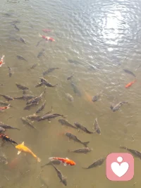 判斷一段關系是否穩固，不是看激情，而是看兩件事：
我在你面前能不能不堅強？
我的脆弱，你接得住嗎？
成年人的親密，不是浪漫，是允許自己被看見。
因為我們太擅長隱藏：
情緒崩潰前一句“我沒事”；很想依靠卻說“隨便；害怕失去卻假裝不在乎。
真正的靠近，不靠強，而靠坦誠。
親密的意義不是成為彼此的盔甲，而是成為彼此卸下盔甲的地方。配圖