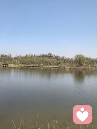 你是否遭受过，“以爱之名”的伤害？

没有任何一个人，应该承受羞辱。哪怕是以爱的名义，也不可以。
“因为很爱你，所以才伤害你。”
“因为不会表达，所以才用这种方式对你。”
这些说法，本质上都是借口。他们把理解当成遮羞布，强行为暴力开脱。
暴力就是暴力。羞辱就是羞辱。
它既不高尚，也不深情，更不应该被美化。配图