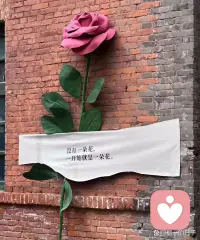 你有没有经历过这样的情况？明明已经失败了，但你却不肯放下，一遍遍地回想、一遍遍地纠结，让自己陷入了无尽的痛苦中。比挫折更折磨人的，是那颗不肯放下的心。这颗心像一只魔爪，紧紧地抓住你，让你无法自拔。