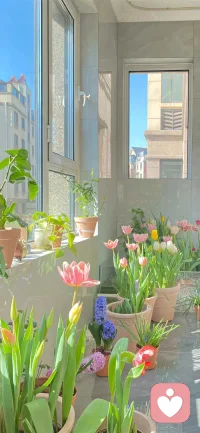 美好的國慶小長假開始了！愿大家都有一個好心情??????配圖