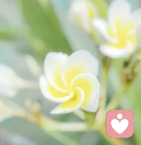 愛有多深，情有多濃，只有經歷過、體驗過、領悟過才能真正感受其中的滋味！愛是一門需要不斷體驗和學習的藝術！配圖