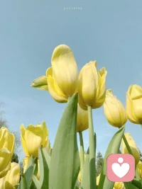 每一天都是新的開始，愿你拋開昨天的煩惱和不快，享受當下屬于自己安靜的時間，與自己的情緒好好相相處，祝大家周末愉快!配圖