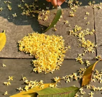 羅翔老師曾說:“你終會(huì)明白，前途比愛情重要，你還會(huì)明白，愛情比前途更難得，但最后你會(huì)明白，對(duì)的人會(huì)站在你的前途里。”配圖