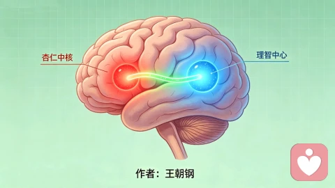 读懂愤怒：从身体、大脑到生活，学会和坏情绪相处