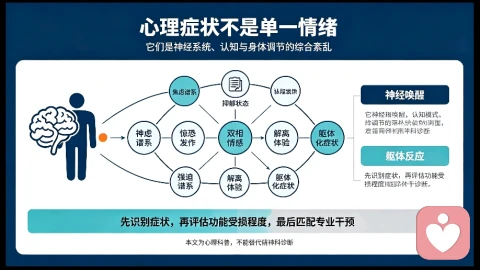 全网最全：重度心理症状完整分类体系｜每一种症状的核心表现、最佳治疗与疗愈方案（专业临床版）