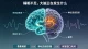 睡眠匮乏的大脑深层病变：脑区损伤、脑波紊乱与补觉的危险误区