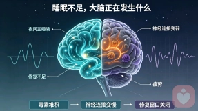 睡眠匮乏的大脑深层病变：脑区损伤、脑波紊乱与补觉的危险误区