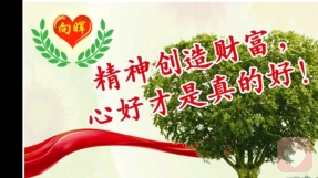 办公室族易失眠
