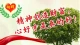向暉心理技術應用一一一空椅子技術
