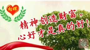 执着的痛苦