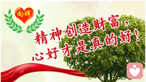 女人的一夜情