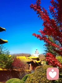 重孩子的思想和話語權，不束縛不包辦　　
英國心理學家克萊爾曾說過：世界上所有的愛都以聚合為最終目的，只有一種愛以分離為目的，那就是父母對孩子的愛。　　
父母真正成功的愛，就是讓孩子盡早作為一個獨立的個體從你的生命中分離出去。這種獨立包括思想的獨立和行為的獨立。父母應尊重孩子的想法，而不是從思想和行動上去束縛他們。有一些父母喜歡動不動就對孩子指手畫腳， “你必須這樣必須那樣”，孩子最后成了父母期望的“聽話”模樣，卻變得唯唯諾諾不再是自己。另有一些父母則相反，他們時時處處以孩子為中心，對孩子無原則地寵溺，事事包辦代替，孩子最后要不一身公主病、要不成了巨嬰。　
　智慧的父母則會尊重孩子的想法，鼓勵孩子合理的行為。即使孩子犯了錯，也會明確告訴他“爸爸媽媽永遠愛你”，從而讓孩子懷著積極的心態不斷提高自己。配圖