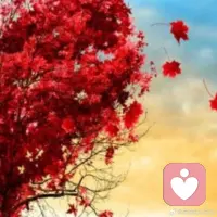 不論再怎么投入感情，也不要放棄自我的追求和信念，誰都不能成為誰的全部，而且諷刺的是，往往你越是看重什么，就越容易失去什么；配圖