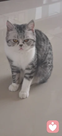 在現(xiàn)實(shí)生活中，有好多過(guò)分懂事的人，總是承擔(dān)了很多，處處為別人著想，但還容易費(fèi)力不討好，所以活的非常委屈，壓抑，內(nèi)心非常痛苦。因?yàn)檫^(guò)分懂事的人，他懂的是別人的事，也就是他過(guò)多的考慮的是別人和外界的想法和感受，而忽略了自己的感受和需求，逐漸會(huì)討好外界，丟失自己。配圖