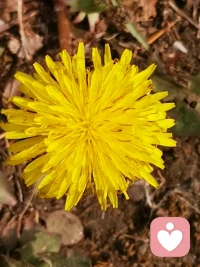 越是親近的關系，越要保持界限。清爽的關系彼此都舒服！配圖