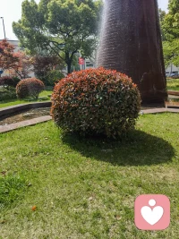 對孩子的不信任，其實是父母對自己的不信任。配圖