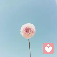 太多時候，因為太在乎一個人，太想留住一些美好的東西，太想抓住某種名利或地位，反而失去了它原本的初衷。太想得到的幸福越抓得緊，它消失得越快;太想得到的愛人越靠得近，他離得越遠;太想擁有的成功，因為太急功近利，最后卻是竹籃打水一場空。配圖