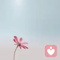 生活中，我們四處尋找解脫的途徑，殊不知，并沒有誰捆住我們的手腳，真正難以突破的是心中的瓶頸。突破心中的瓶頸，清除心中的垃圾，就可以在屬于自己的天空中自由翱翔。配圖