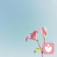 当我们热爱某件事情时，就会自然而然地全身心投入，无论遇到什么困难都能够坚持下去，不怕夫败，不屈不挠，继续前行。因为热爱，我们才能够不知疲倦地追求着目标，不断向前。正因为热爱，我们才能充分发挥自己的潜力，创造奇迹。配图