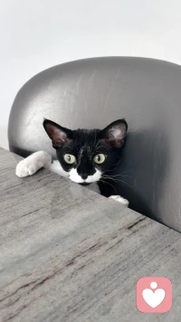 当我们将自己的内心打开，接纳他人的存在和不同，我们能够跨越界限和隔阂，用互相理解和包容的力量建立起真正的联系和友谊。配图