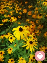 心灵，是内在的世界;关系，是外在的呈现。外在关系就像显示器一样显示出一个人心灵的样子。透过一个人外在关系的模式，也会看到这个人内心世界是什么样子。
所以，人是关系的产物。当一个人勇敢的去面对处理关系的时候，也是提升心灵的时候。配图