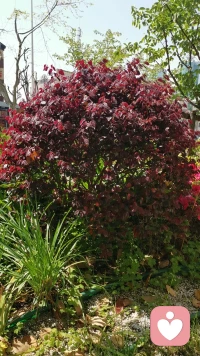 心理学研究发现，那些性格特别敏感，爱反思的成年人，在童年时期展现出早熟的独立性和责任感，这种独立性往往源于他们未能在童年时获得充足的关爱和保护，被迫提前学会关怀他人，理解和宽容以及自我承担生活重担。这样的童年经历在一定程度上影响了成年后的安全感，在他们的世界中自我依赖成为了生存的策略。配图