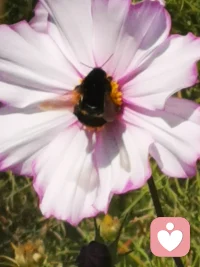 婚姻的杀手是指责、抱怨、鄙视、冷漠，这四条如果都做到的话， 93%以上的亲密关系会走向灭亡，走向离婚。配图