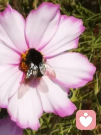 内耗型人格，心思敏感 遇到事情就思前想后，纠结拧吧。这种状态大多是因为他在小的时候遭遇过这三种情况：一、父母吵架，让他一直活的小心翼翼 。二、父母经常控制、打压或者否定他，他被迫很早就开始了独立董事，三是父母期待过高，他窒息喘不过气了，这种成年人都无法消化的负能量和焦虑感，让他心里没有安全感，那久而久之，这种恐慌的感觉就会不断累积在他的潜意识当中，所以长大以后他就逐渐变成了穷思竭虑的性格。如果你也这样，请对自己说这样二句话。第一句太在意什么，什么就会折磨你。第二句我已努力了，一切交给天意 我已问心无愧。配图