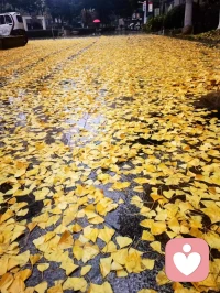 所有扭曲的认知都来自于偏见。配图