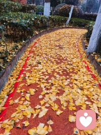 学会去爱自己本来的模样 ，生命有它本来的模样。你爱这样的自己吗 ？也许你不必如此勉强，你不用抹去自己原有的模样，你不需要为了这些优越感筋疲力尽，你不需要为了吸引别人一直尝试，做自己的太阳，发自己的光。配图