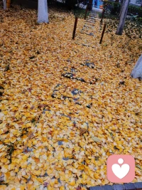 生命本没有意义--我们都是在追寻生命的意义，也许生命根本就没有什么终极意义，活着本身就是意义，而且经历就是活着的价值，这些不可替代的生命体验塑造了完整的自己，而这就是我们此生的唯一意义。配图