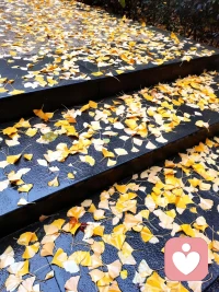 真正的成为你自己一一在人世间的一切责任中，最根本的责任是对你自己的人生负责，真正成为你自己，活出你独特的个性和价值来。配图