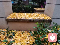 无为就是不内耗自己 。在生活里面让我们遇到那些痛苦 茫然 棘手 焦虑的问题的时候 ，首先就是不要慌，放松，而放松的目的是什么呢？是为了消解那种对抗感，包括对世界的对抗和自己的对抗。配图