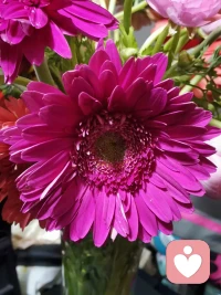 你永远不要有企图改变别人的念头。你能够做的就是像太阳一样，只管发出自己的光和热。——荣格配图