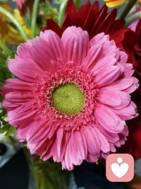 没有最好的年龄 ，只有最好的心态 。人生永远没有太晚的开始 ，真正高级的年龄观就是忘记年龄 ，始终怀有生活的热情 。配图