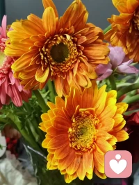 心理能量是人格的动力 它推动一个人去完成各项心理活动 如果没有动力的感受 其实就是我们的心理能量不足 陷入一种提不起劲儿的状态 。配图