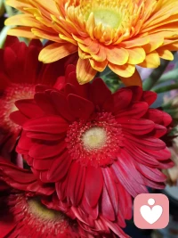 外表温柔的人，反而内核稳定 ，边界感越强 ，温柔而坚定的人 ，既知道自己是独立的个体 ，同时也尊重别人是独立的课题 ，所以他们的边界感是一以贯之的 ，不仅向内能保护自己 ，也能向外延展 尊重他人 。在人际交往过程中 ，这样的人分寸感恰到好处 ，既不需要压抑自己 ，也不需要过度防御 ，在与人相处的过程中， 能够留有足够多的空间 ，展示更大的灵活性 收放自如 。配图