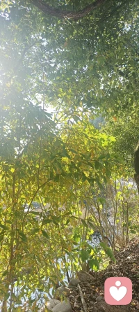 生活中的困擾源源不斷，快樂之所以短暫，是因為它藏匿在解決問題的間隙之中。配圖