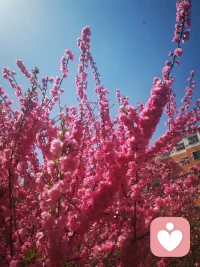 脆弱與堅韌，每個人內心都有一份脆弱，偶爾的破碎、淚水與逃避在所難免。真正關愛我們的人，會包容我們的全部，包括我們的脆弱。因此，請勿再為自身的脆弱感到羞愧，勇敢地展示真實的一面。配圖